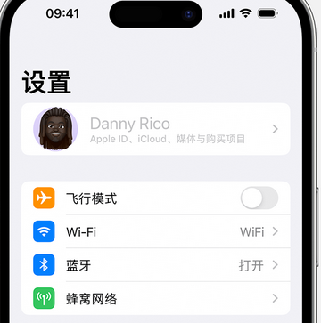 泽库appleID维修服务iPhone设置中Apple ID显示为灰色无法使用