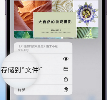 泽库apple维修中心分享iPhone文件应用中存储和找到下载文件