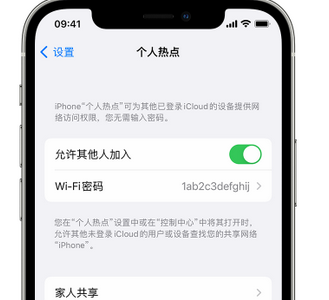 泽库apple服务站点分享iPhone上个人热点丢失了怎么办 