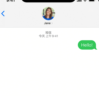 泽库apple维修iPhone上无法正常发送iMessage信息