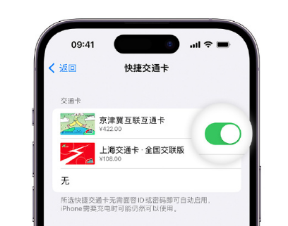 泽库apple维修点分享iPhone上更换Apple Pay快捷交通卡手绘卡面 