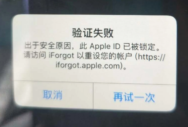 泽库iPhone维修分享iPhone上正常登录或使用AppleID怎么办 