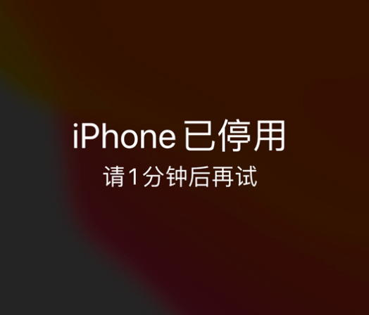 泽库苹果手机维修分享:iPhone 显示“不可用”或“已停用”怎么办？还能保留数据吗？ 