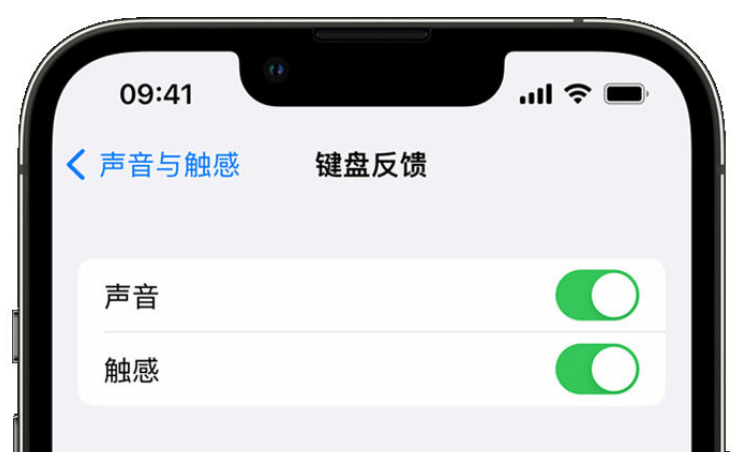 泽库苹果手机维修分享iPhone 14触感键盘使用方法 