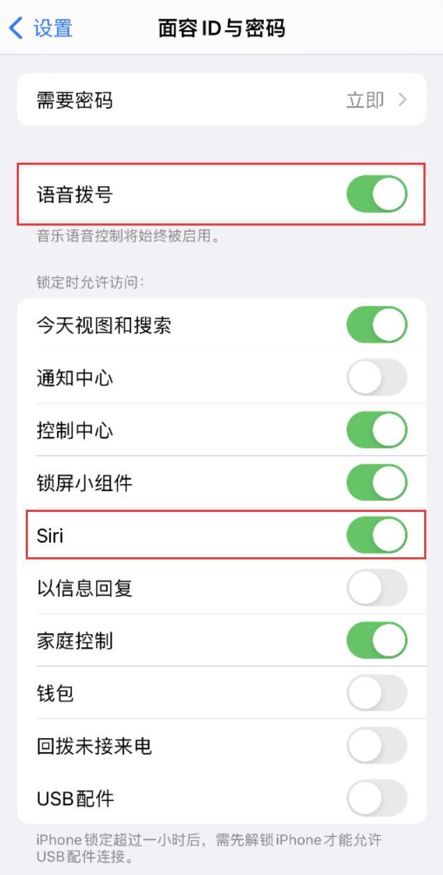 泽库苹果维修网点分享不解锁 iPhone 的情况下通过 Siri 拨打电话的方法 