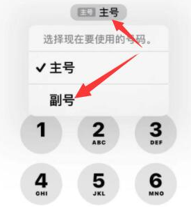 泽库苹果14维修店分享iPhone 14 Pro Max使用副卡打电话的方法 