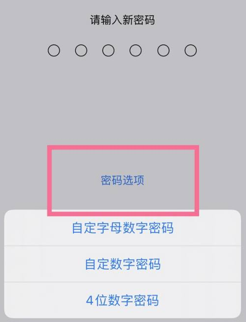 泽库苹果14维修分享iPhone 14plus设置密码的方法 