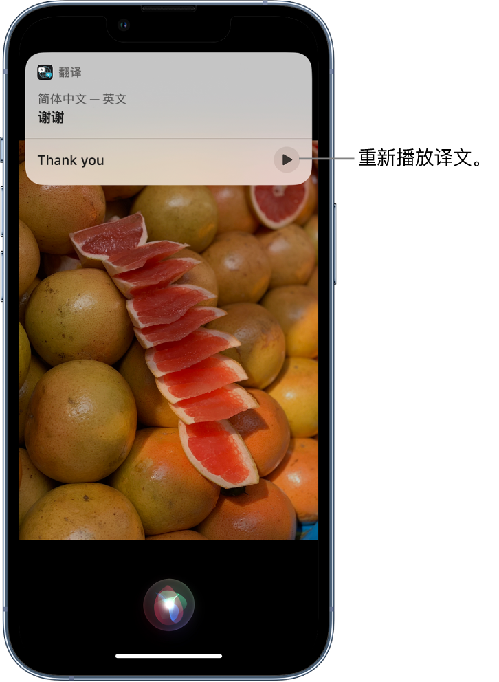 泽库苹果14维修分享 iPhone 14 机型中使用 Siri：了解 Siri 能帮你做什么 