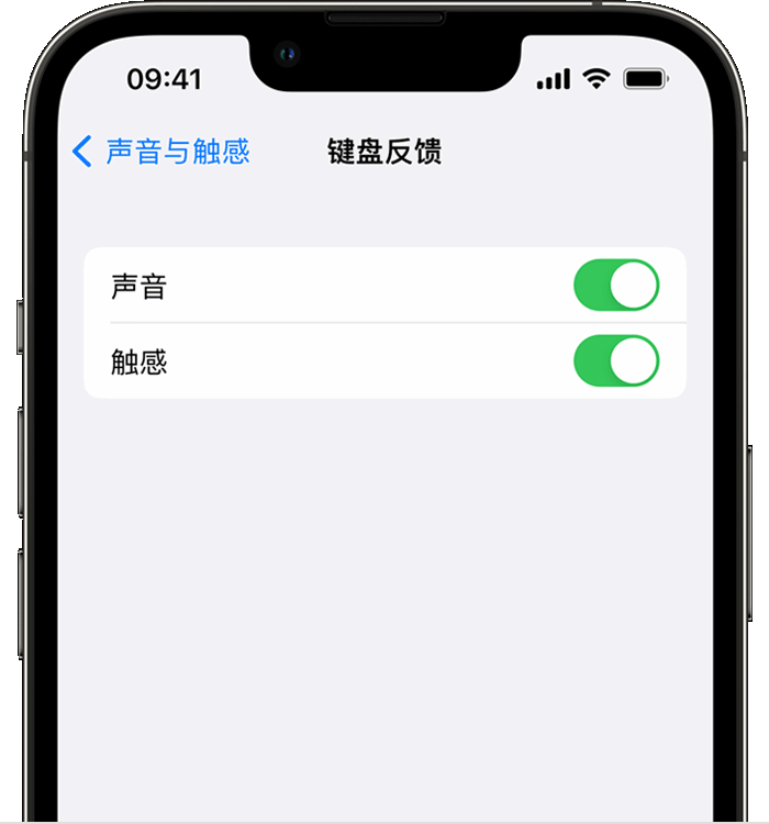 泽库苹果14维修分享iPhone 14 系列机型如何开启键盘声音或触感反馈 