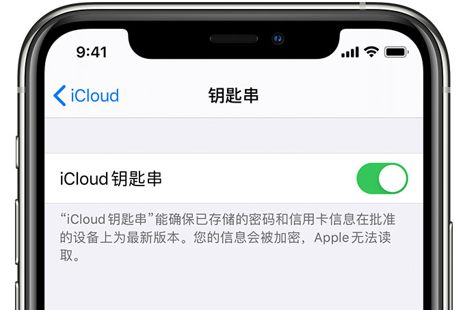 泽库苹果手机维修分享在 iPhone 上开启 iCloud 钥匙串之后会储存哪些信息 