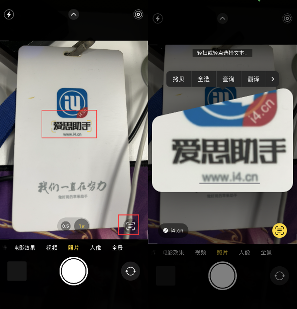 泽库苹果手机维修分享升级iOS 16后如何通过相机翻译文本 