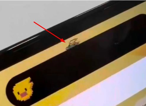 泽库苹果14维修分享iPhone 14 Pro Max灵动岛怎么养宠物 