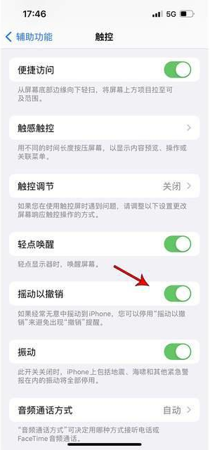 泽库苹果手机维修分享iPhone手机如何设置摇一摇删除文字 