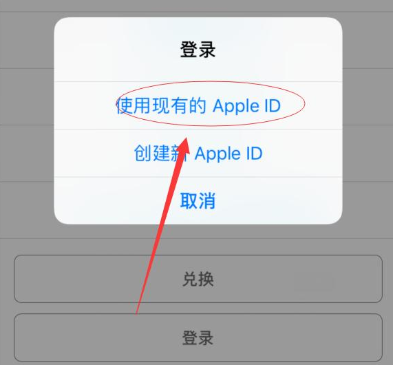 泽库苹果手机维修分享两台iPhone设备可以同时登录一个Apple ID吗 