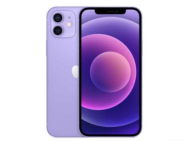 泽库苹果手机维修分享现阶段要不要入手紫色版iPhone12 