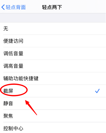 泽库苹果手机维修分享iPhone12如何启用双击截屏 