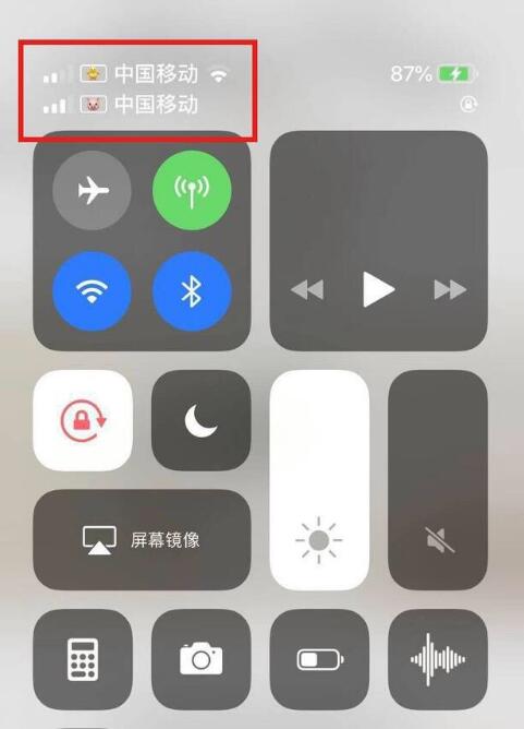 泽库苹果手机维修分享为 iPhone 12 双卡设置标签 